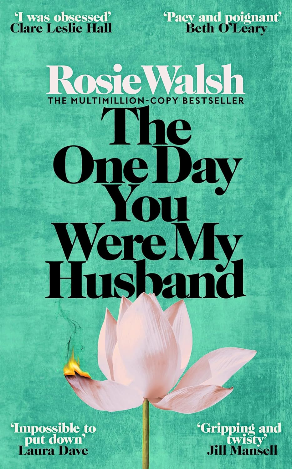 The One Day You Were My Husband (Hardback)