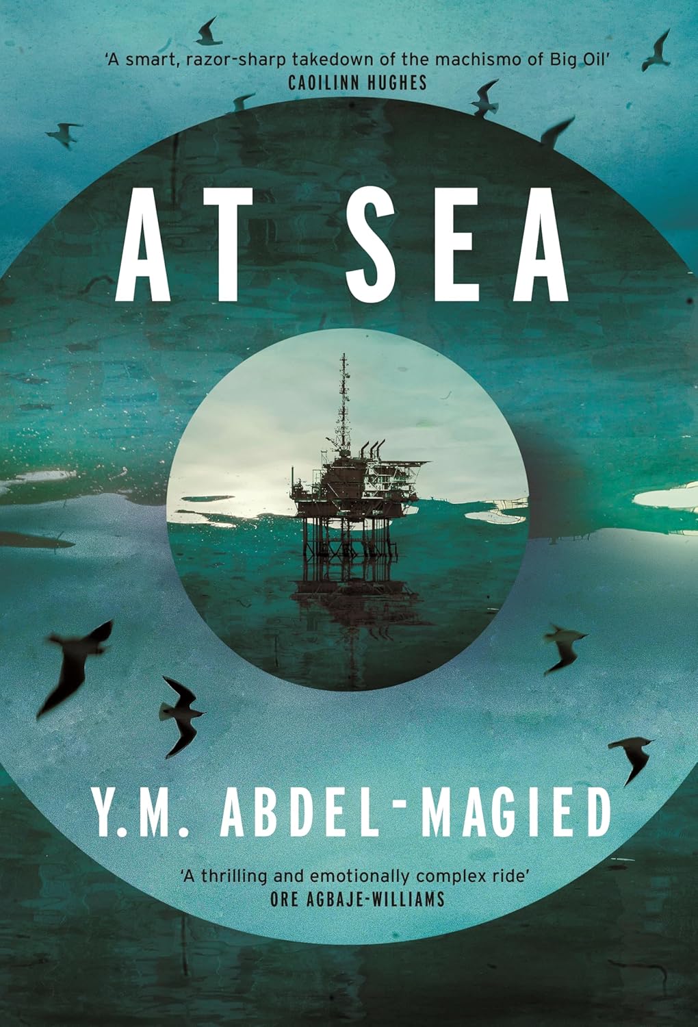 At Sea (Hardback)