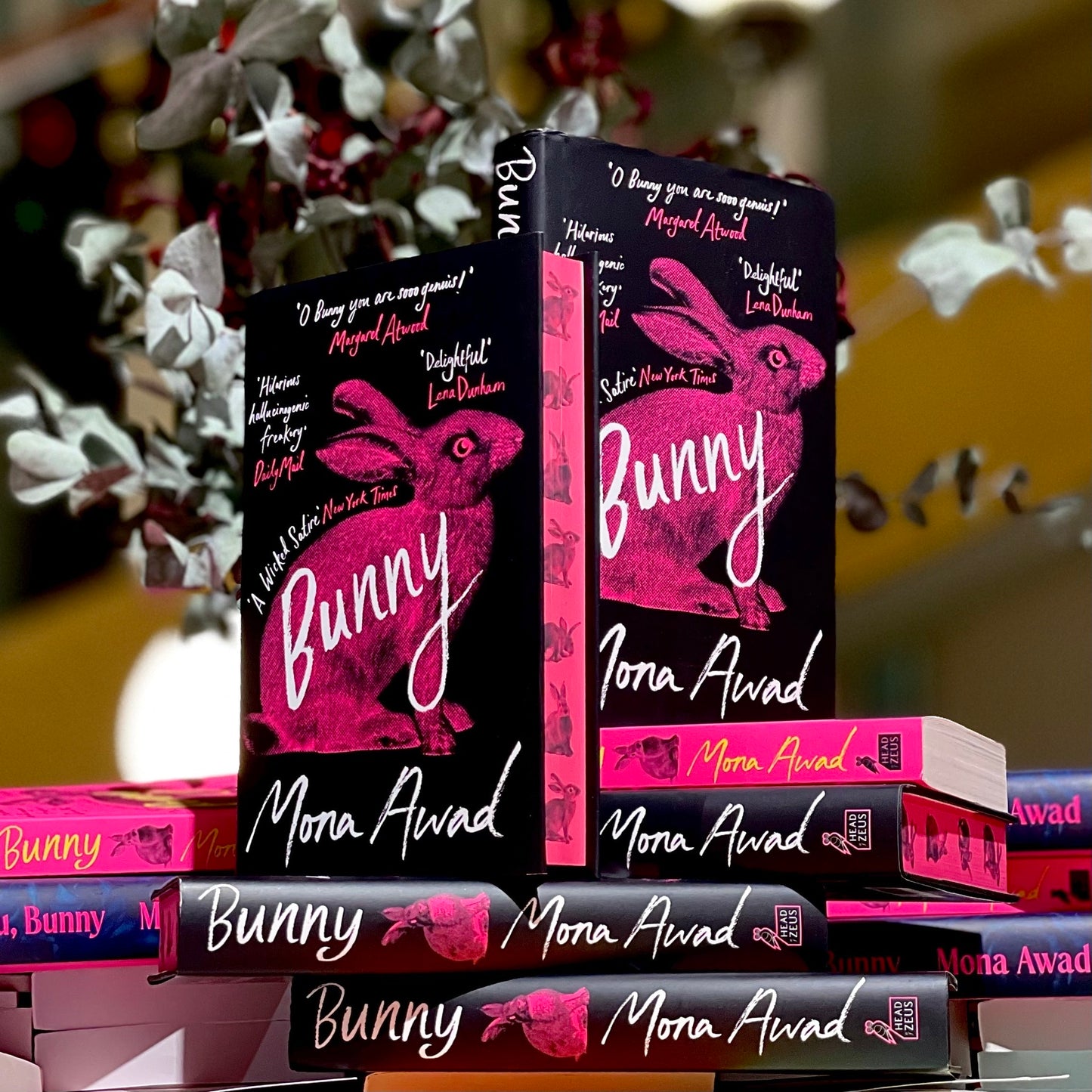 Bunny: Special Edition
