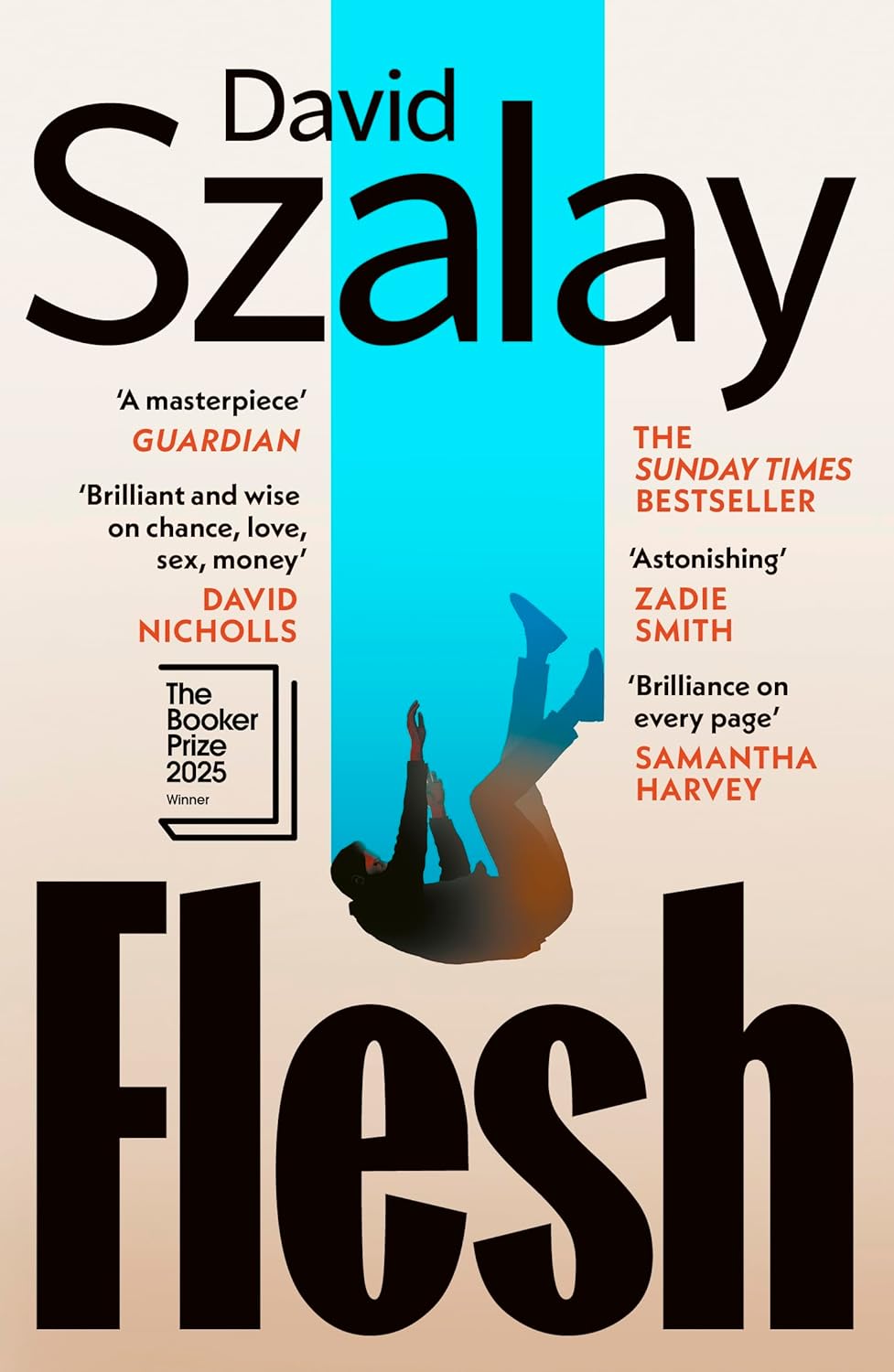 Flesh (Paperback)