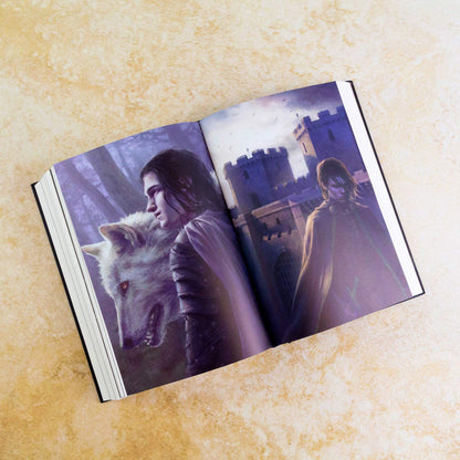 A Game of Thrones: A Clash of Kings (Hardback)