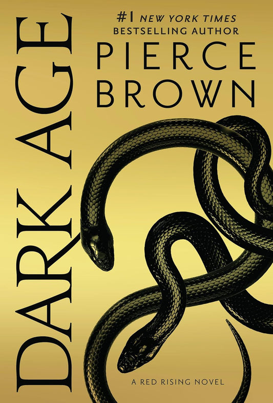 Dark Age (Paperback)