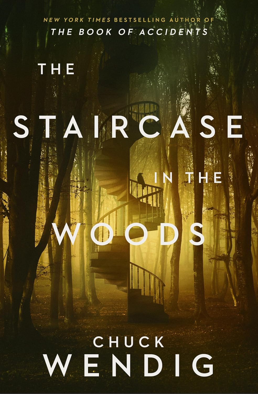 The Staircase in the Woods (Paperback)