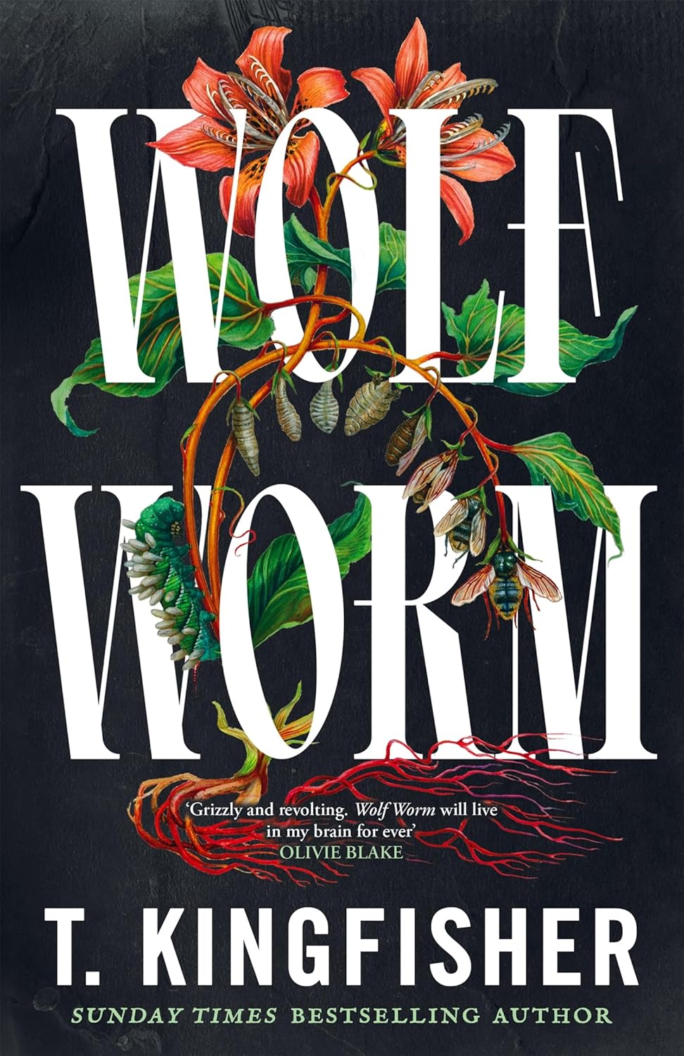 Wolf Worm (Hardback)