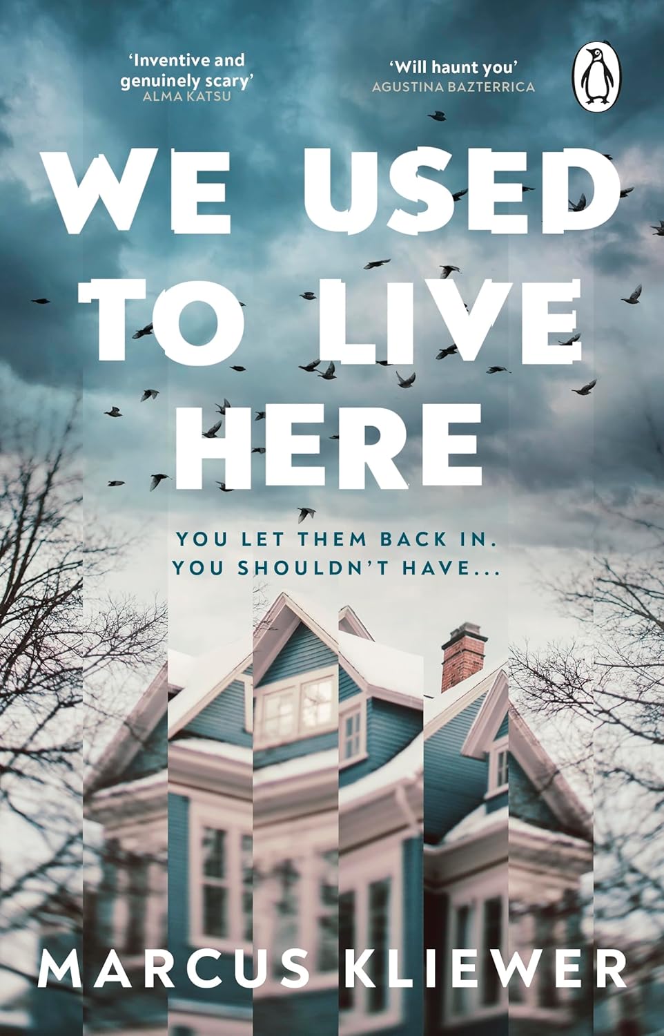 We Used to Live Here (Paperback)