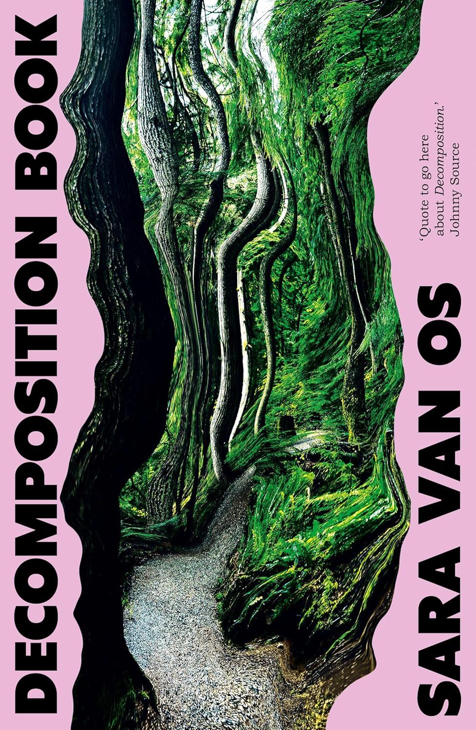 Decomposition Book (Paperback)