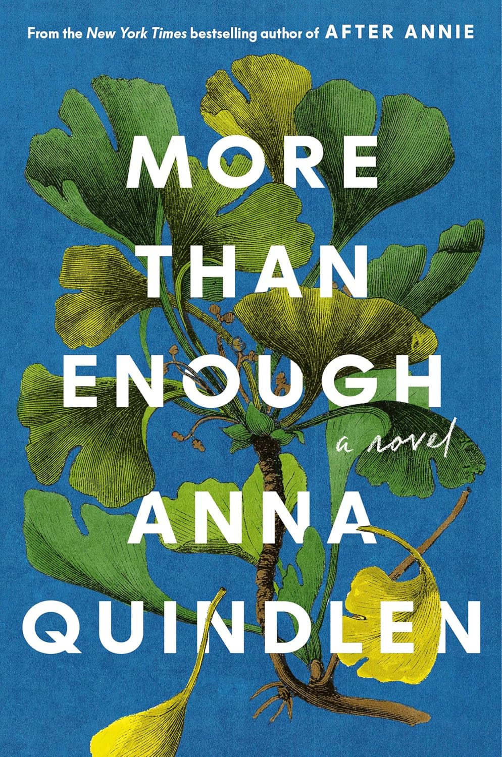More Than Enough (Hardback)